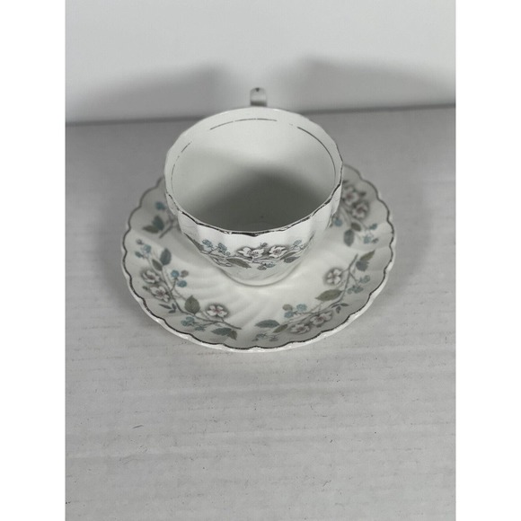 Antique Johnson Bros Tea Cup & Saucer Floral, Blackberries, Raspberries, Regency - Picture 3 of 6